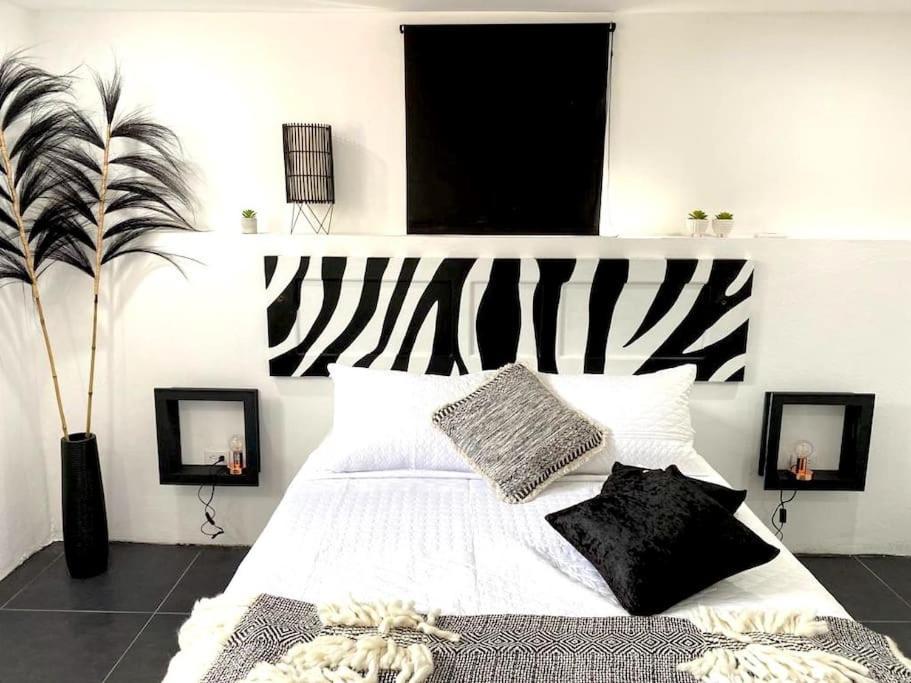 Paradiso Apartments - 1 Bdr Oranjestad Extérieur photo